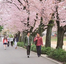 九州ルーテル学院大学