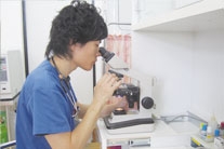 動物病院20時　那覇医院 小池貢史