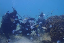 有限会社ニュース 宇田川大輔