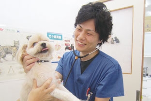 動物病院20時　那覇医院