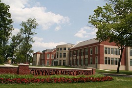 グエインド・マーシー・ユニバーシティ